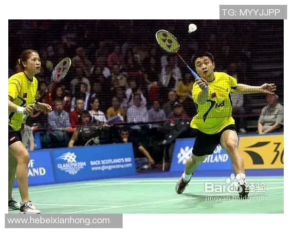 南京羽毛球队区域防守策略分析与战术应用探讨